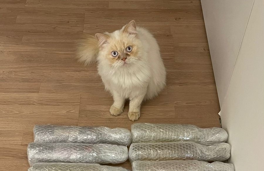 Можно ли отправить алкоголь по России курьерской службой? Отвечаем на ...